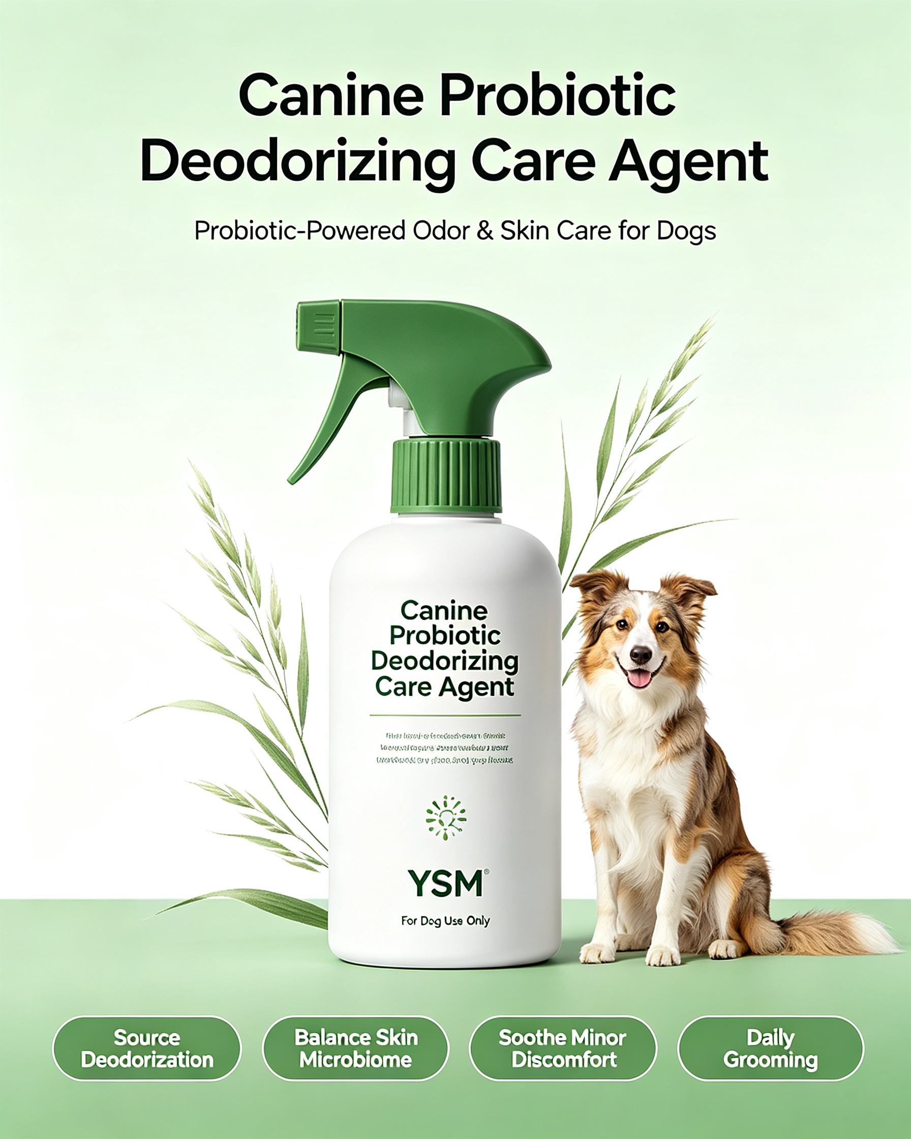 Dog Probiotic Deodorizing Care Agent | Skin & Odor Care For Dogs