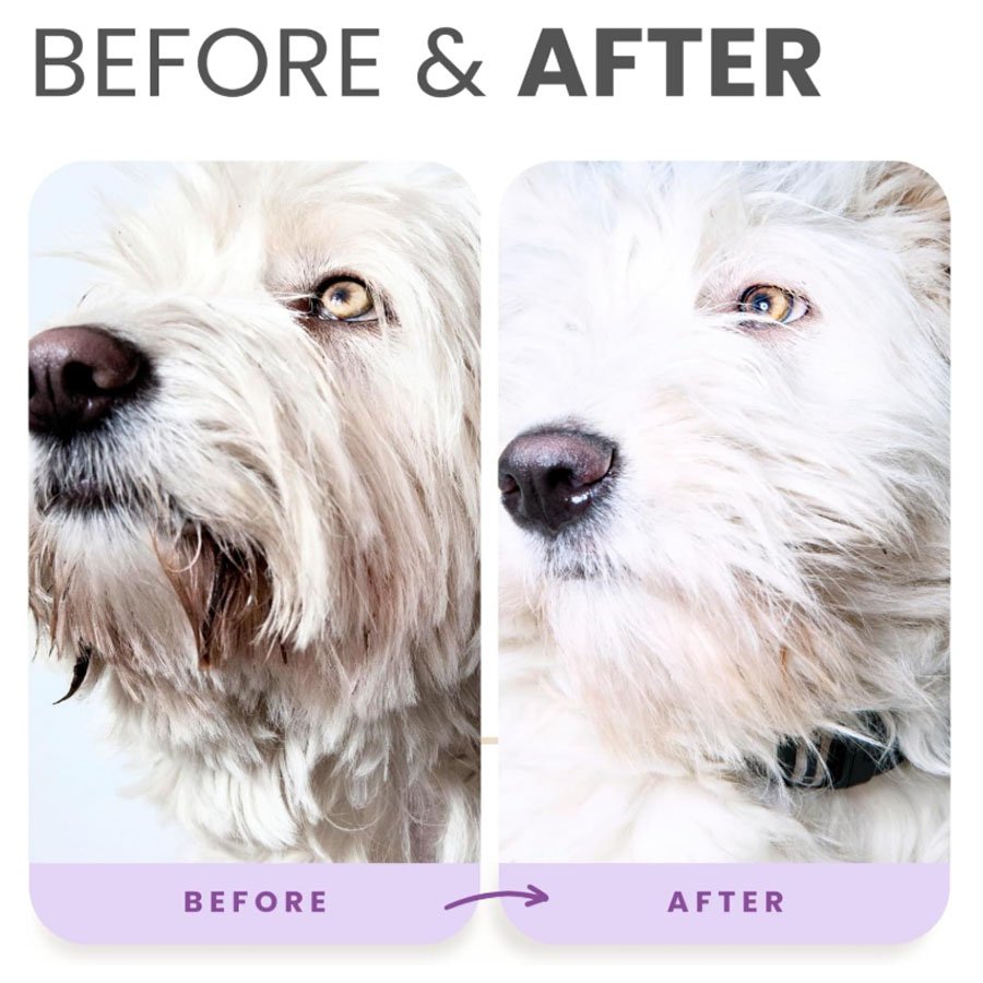 Dog Brightening Shampoo for White & Light Coats | Stain & Yellowing Removal Dog Brightening Shampoo for White & Light Coats | Stain & Yellowing Removal - Image 2
