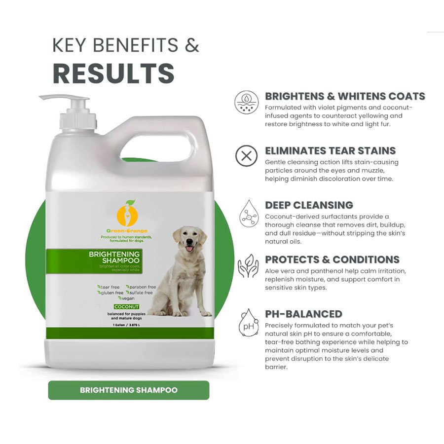 Dog Brightening Shampoo for White & Light Coats | Stain & Yellowing Removal Dog Brightening Shampoo for White & Light Coats | Stain & Yellowing Removal - Image 4