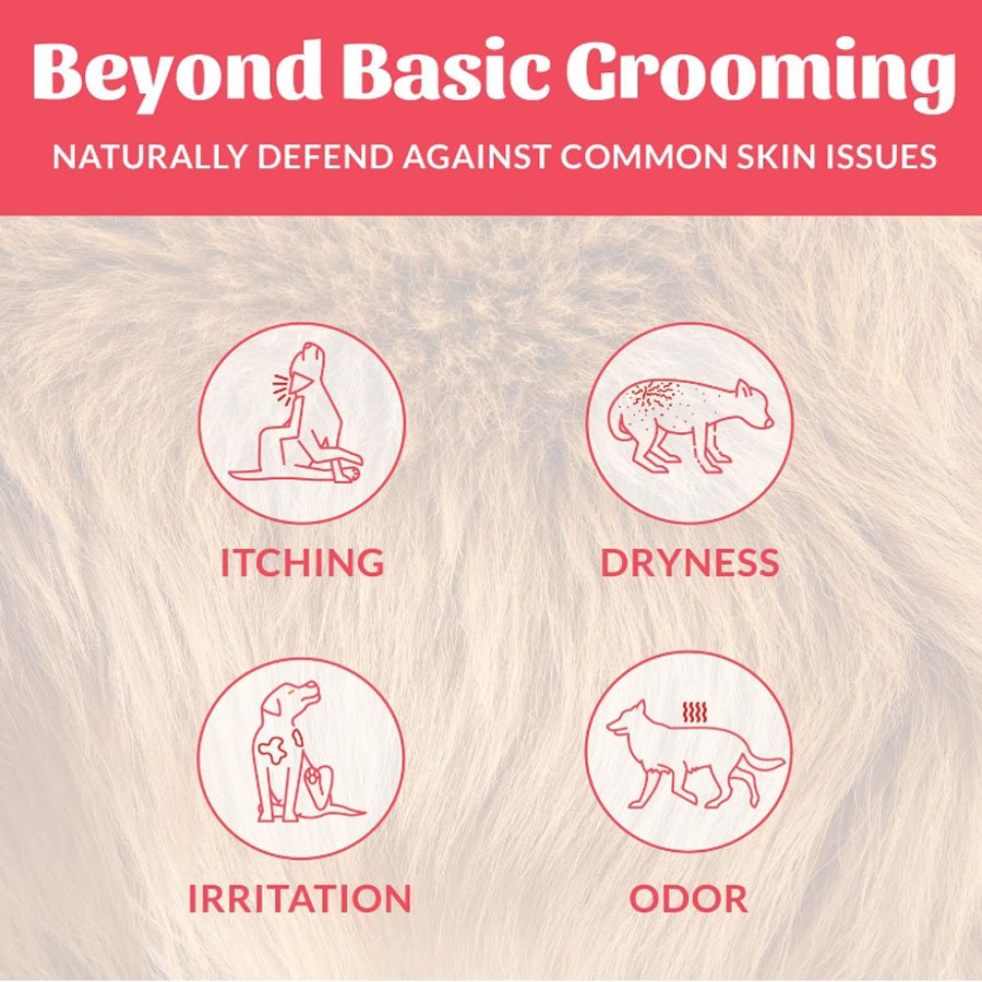 Pet Probiotics Deodorization Care Spray for Dogs & Cats | Natural Pet Odor Spray Pet Probiotics Deodorization Care Spray for Dogs & Cats | Natural Pet Odor Spray - Image 8