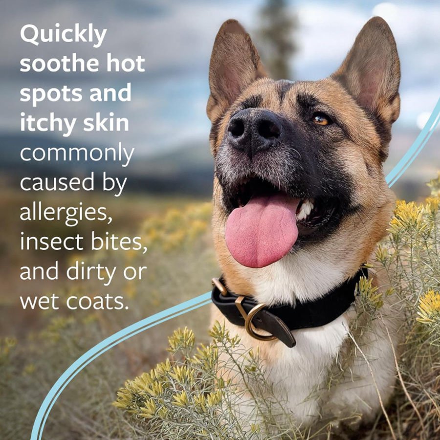 Pet Hot Spot Itch Relief Medicated Spray | Dog & Cat Skin Care Pet Hot Spot Itch Relief Medicated Spray | Dog & Cat Skin Care - Image 3