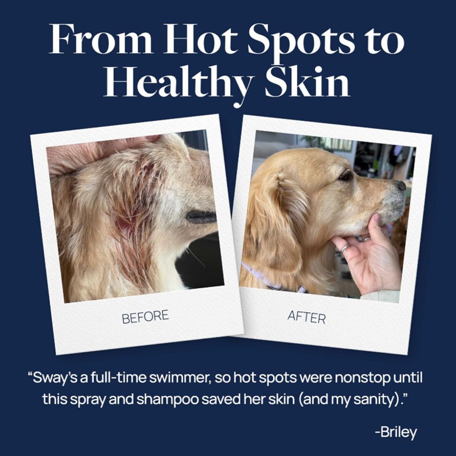 Pet Hot Spot Itch Relief Medicated Spray | Dog & Cat Skin Care Pet Hot Spot Itch Relief Medicated Spray | Dog & Cat Skin Care - Image 6
