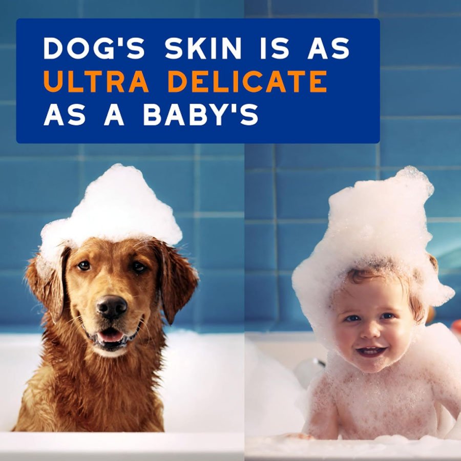 2 in 1 Dog Shampoo and Conditioner, 16 fl oz 2 in 1 Dog Shampoo and Conditioner, 16 fl oz - Image 6
