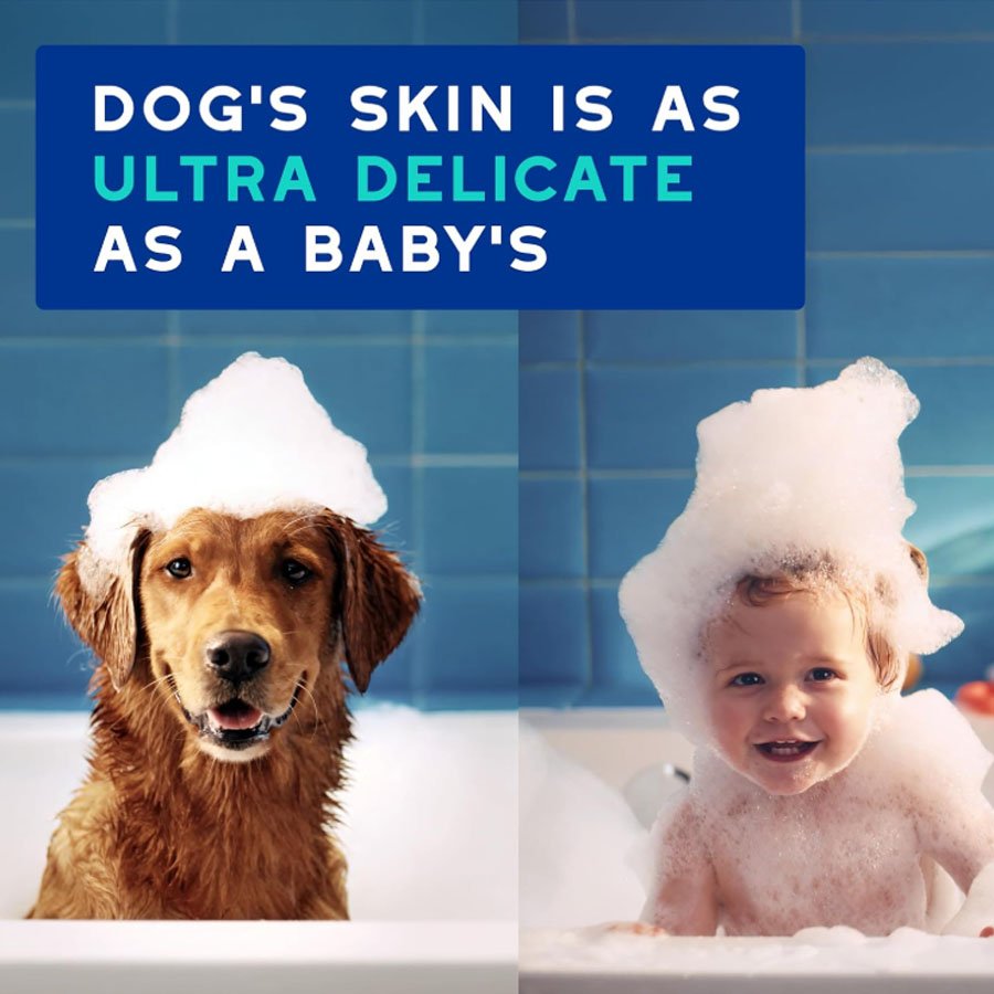 Dog Shampoo for Smelly Dogs, 16 fl oz Dog Shampoo for Smelly Dogs, 16 fl oz - Image 6