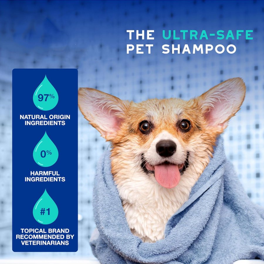 Dog Shampoo for Smelly Dogs, 16 fl oz Dog Shampoo for Smelly Dogs, 16 fl oz - Image 5