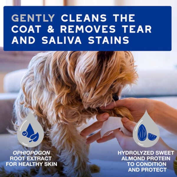 Dog Wipes for Paws, Butts, Tear Stains and Cleaning, 100 Wipes