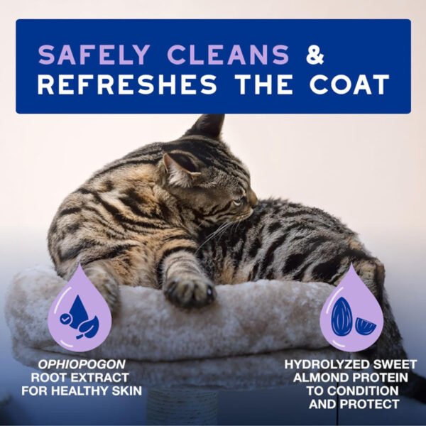 Waterless Cat Shampoo, 10 fl oz