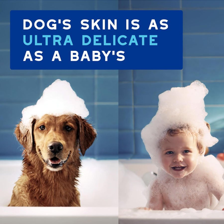 Waterless Dog Shampoo, 10 fl oz Waterless Dog Shampoo, 10 fl oz - Image 6